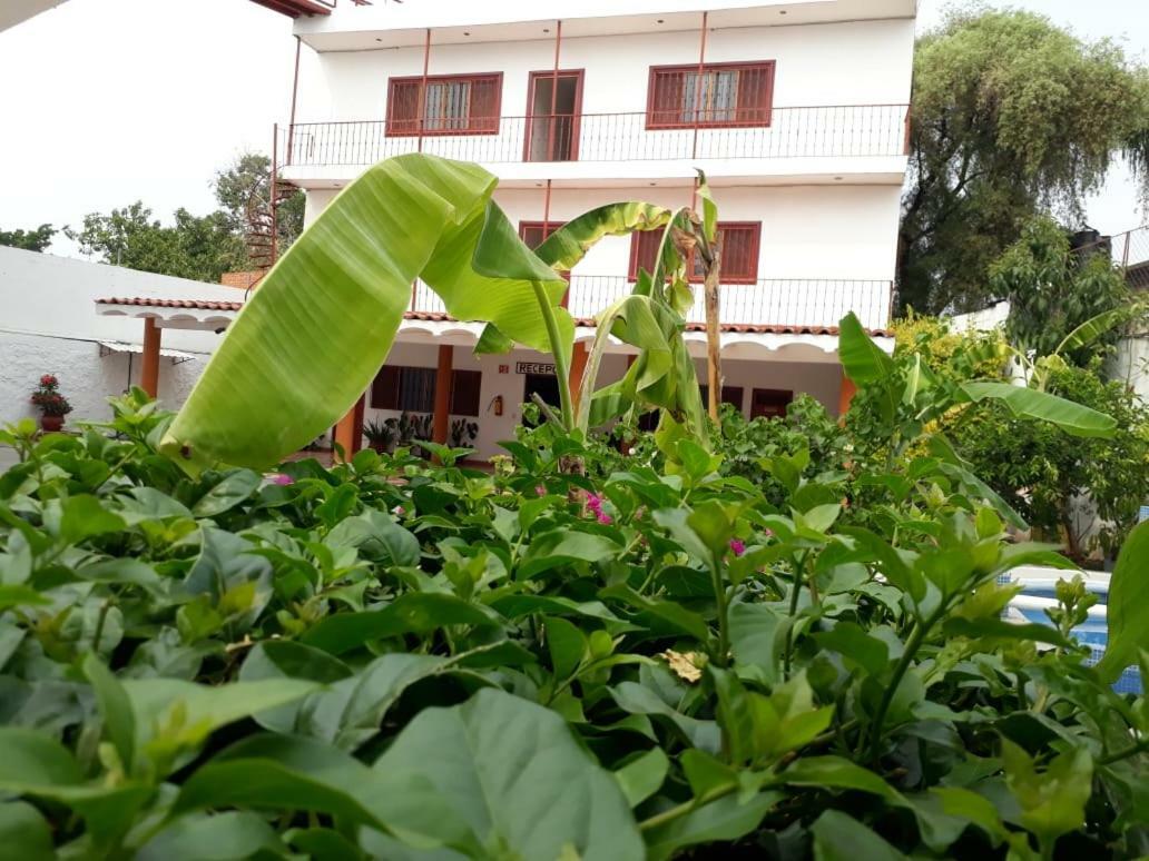 Hotel Hacienda De Zapata จูเตเปค ภายนอก รูปภาพ